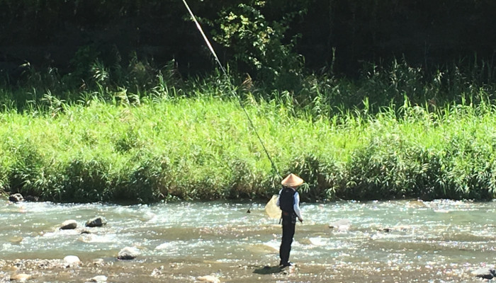 鮎の塩焼きを食べて