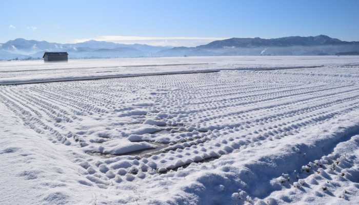 在宅勤務をしながら思うこと（２）