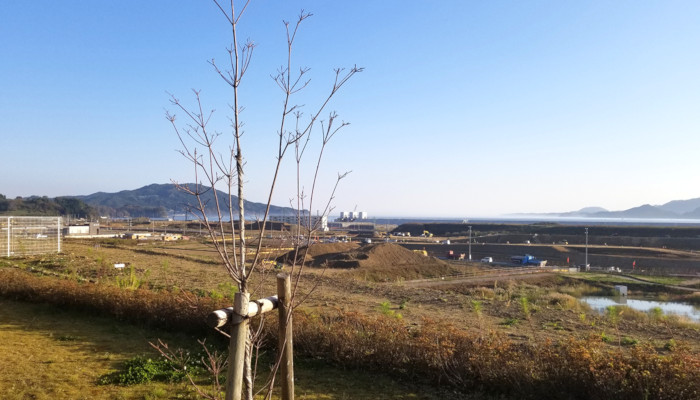 『あれから10年』に思うこと