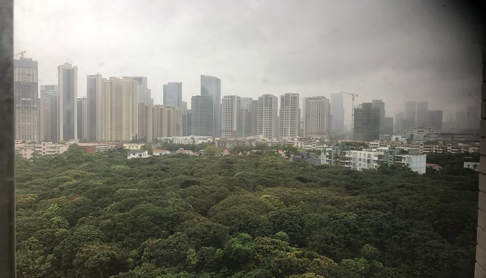 Appeon社からの風景